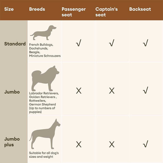 Urban Dog Car Travel