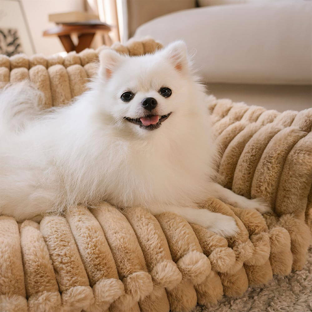 Fluffy Orthopedic Sofa