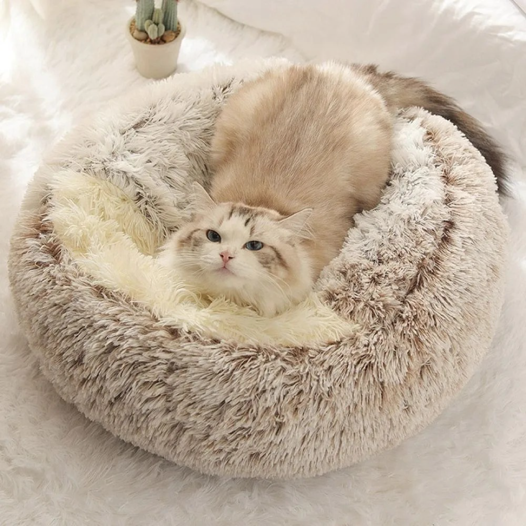 Cozy Pet Bed