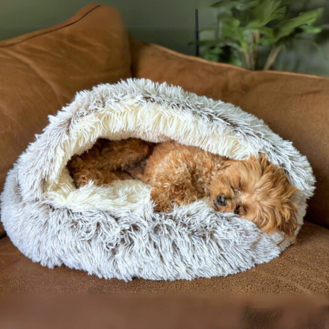 Cozy Pet Bed