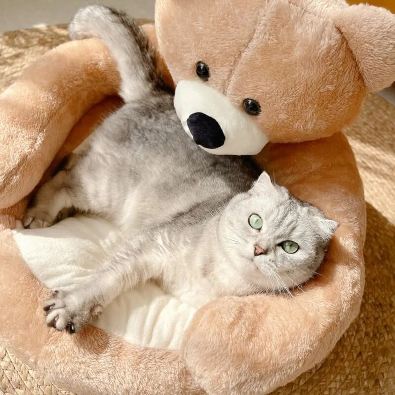 Teddy Bear Dog & Cat Bed