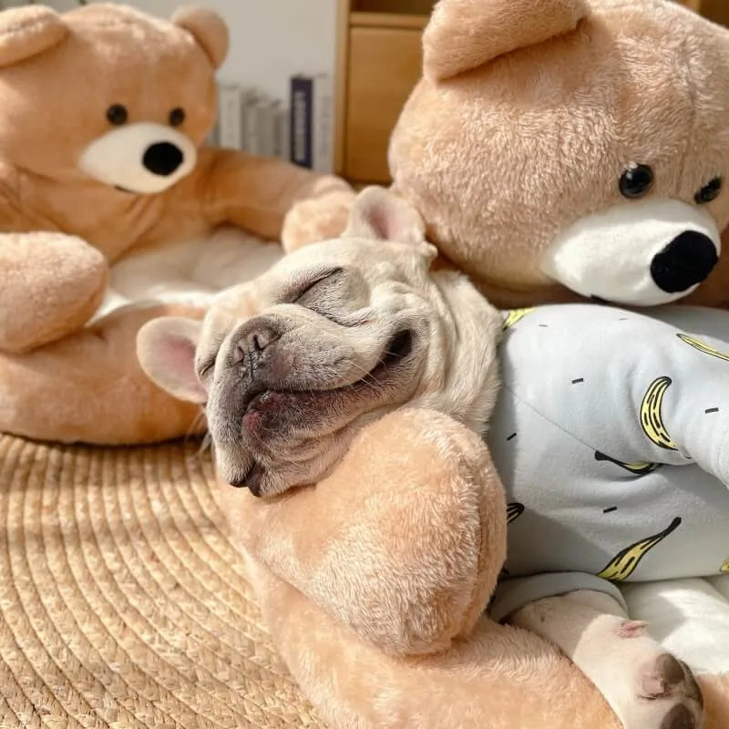 Teddy Bear Dog & Cat Bed