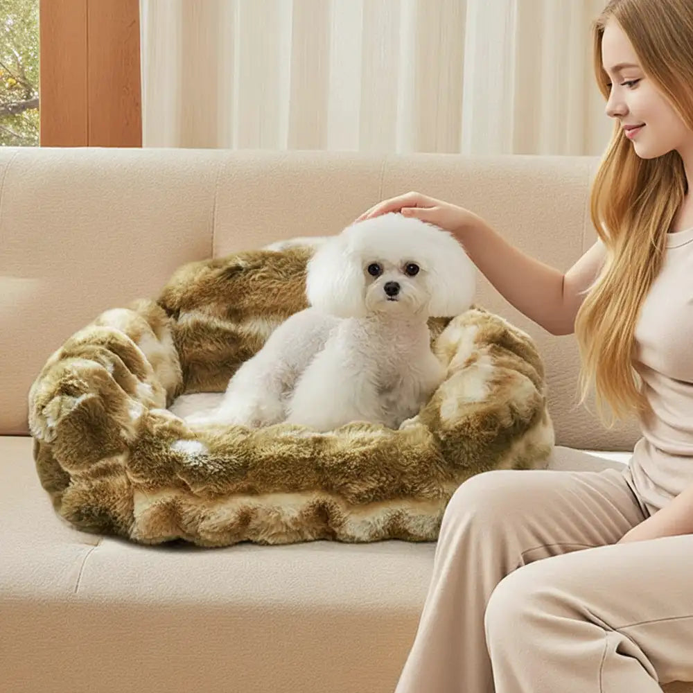 CloudNest Sofa Bed