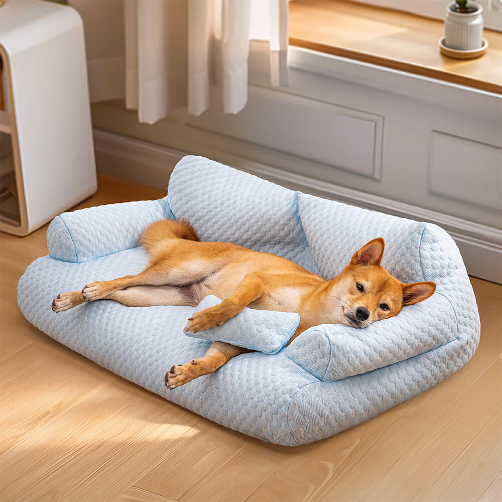 Un cane felice e rilassato sdraiato sul divanetto rinfrescante Healthypets di colore celeste, realizzato in materiale ice silk traspirante. Perfetto per mantenere il tuo pet fresco e comodo durante l'estate.